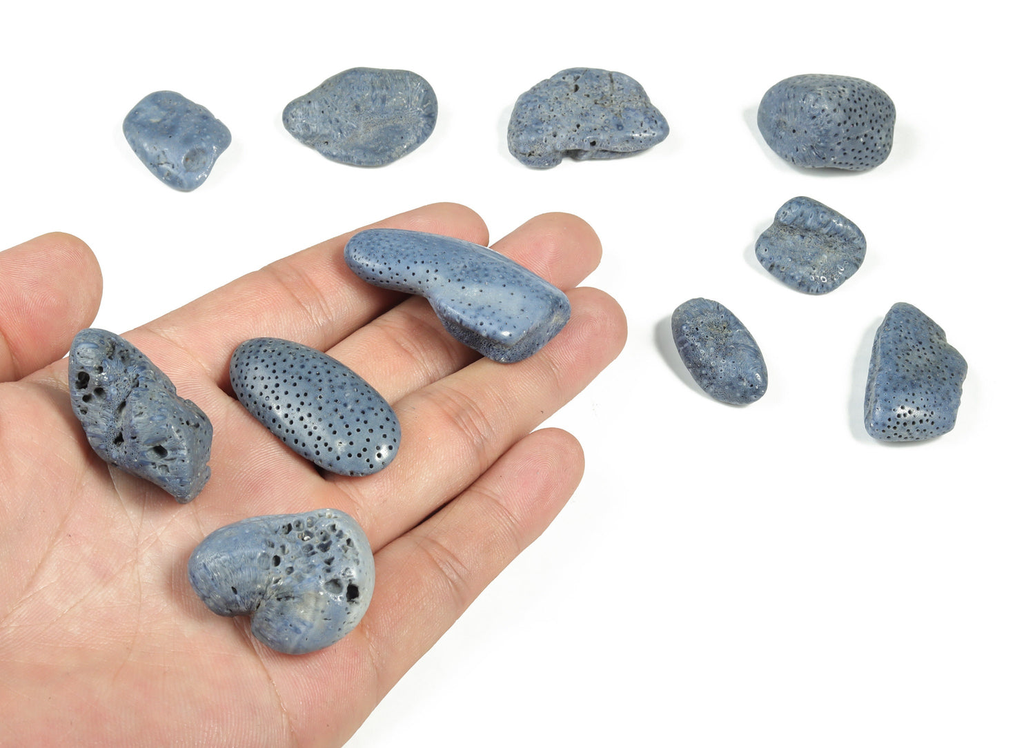 Blue Coral Raw Stone - TU1029