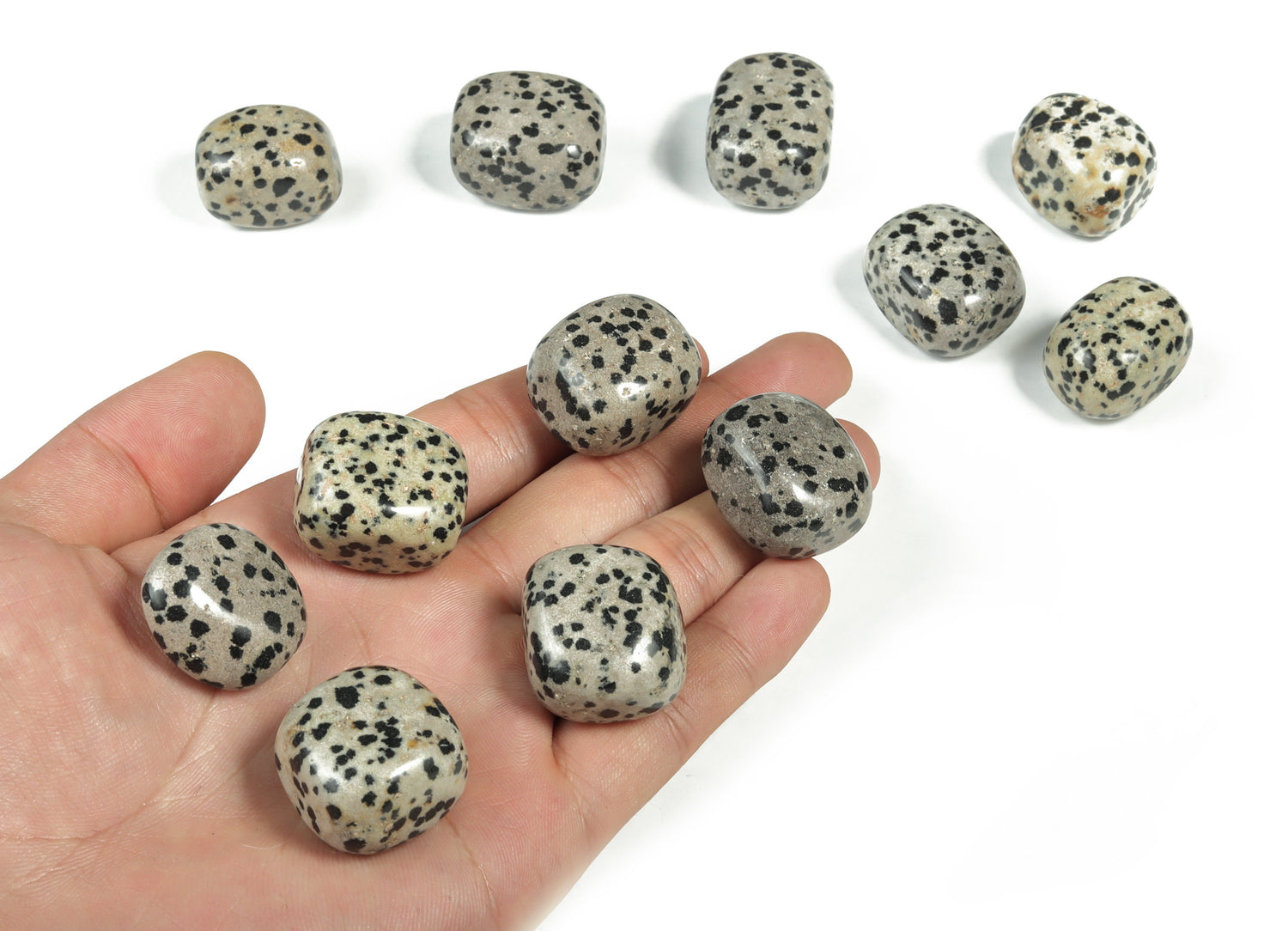 Dalmatian Jasper Tumbled Stone - TU1087