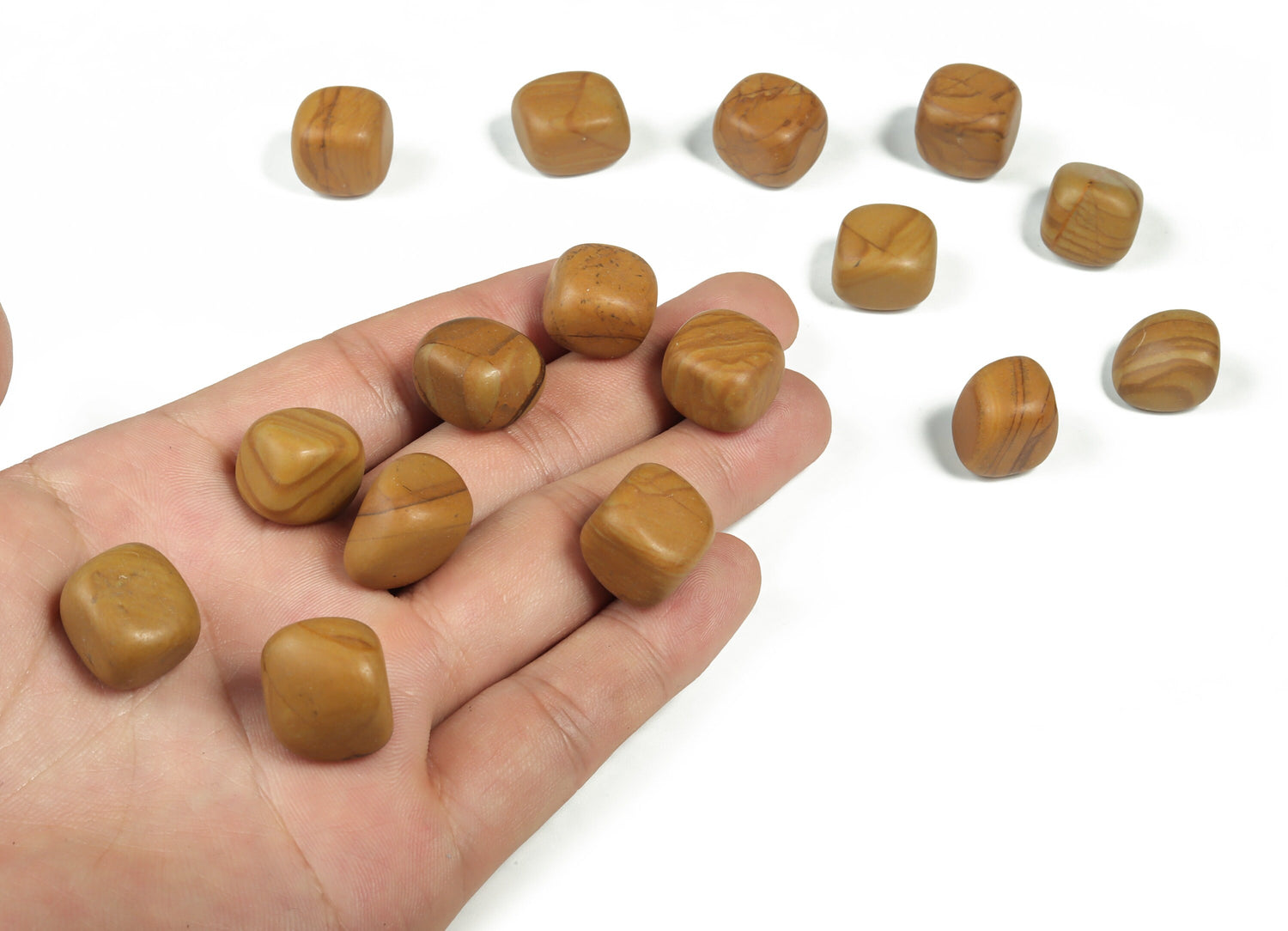 Walnut Jasper Tumbled Stone - Wood Jasper Gemstone - TU1097