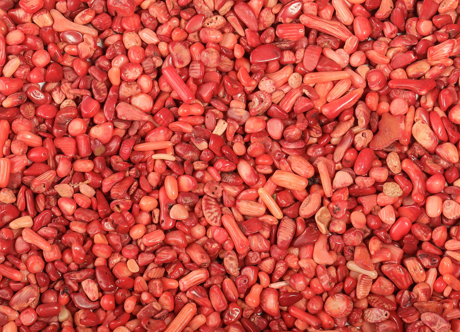Red Coral Crystal Chips - Semi Tumbled Stone - Bulk - 2-6mm - CP1016