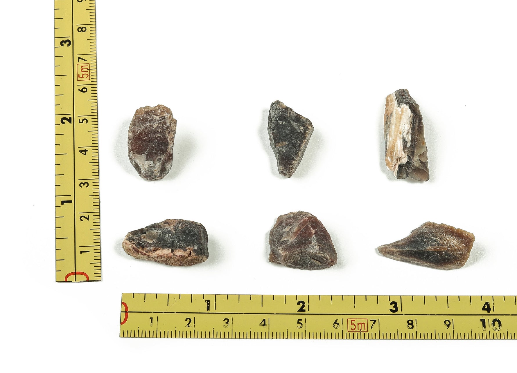 Raw petrified wood gemstone from GemstoneGO, showcasing natural wood textures and earthy tones in a polished specimen.