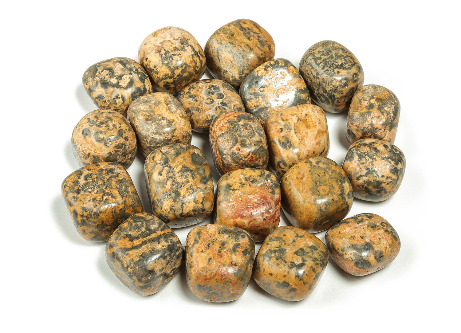 Leopard Skin Jasper Tumbled Stone - TU1111