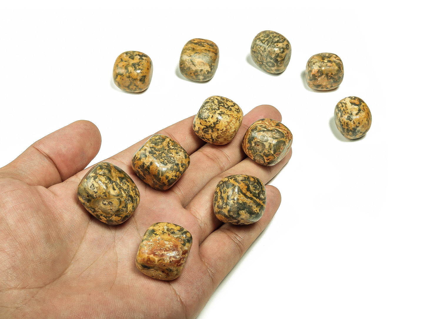 Leopard Skin Jasper Tumbled Stone - TU1111
