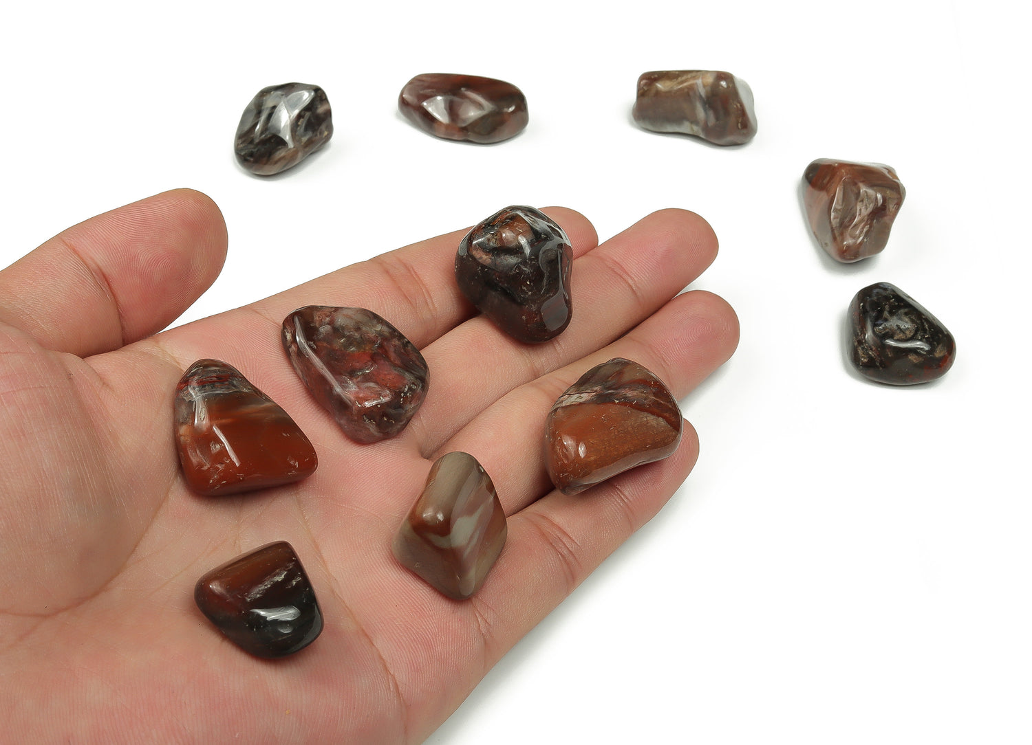 Petrified Wood Tumbled Stone - TU1124