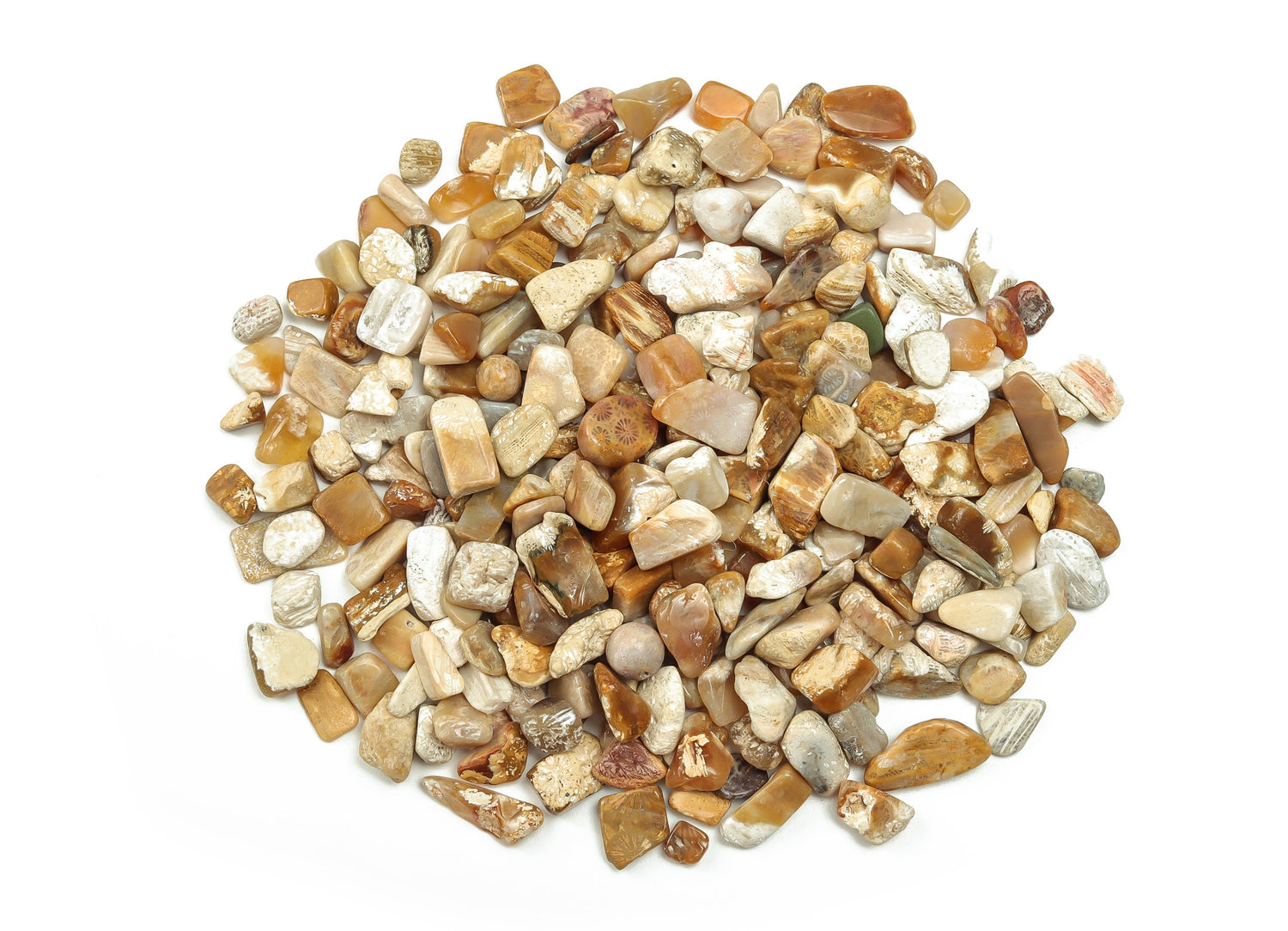 Fossil Coral Jasper Crystal Chips - Semi Tumbled Stone - Bulk - 7-12mm - CP1052