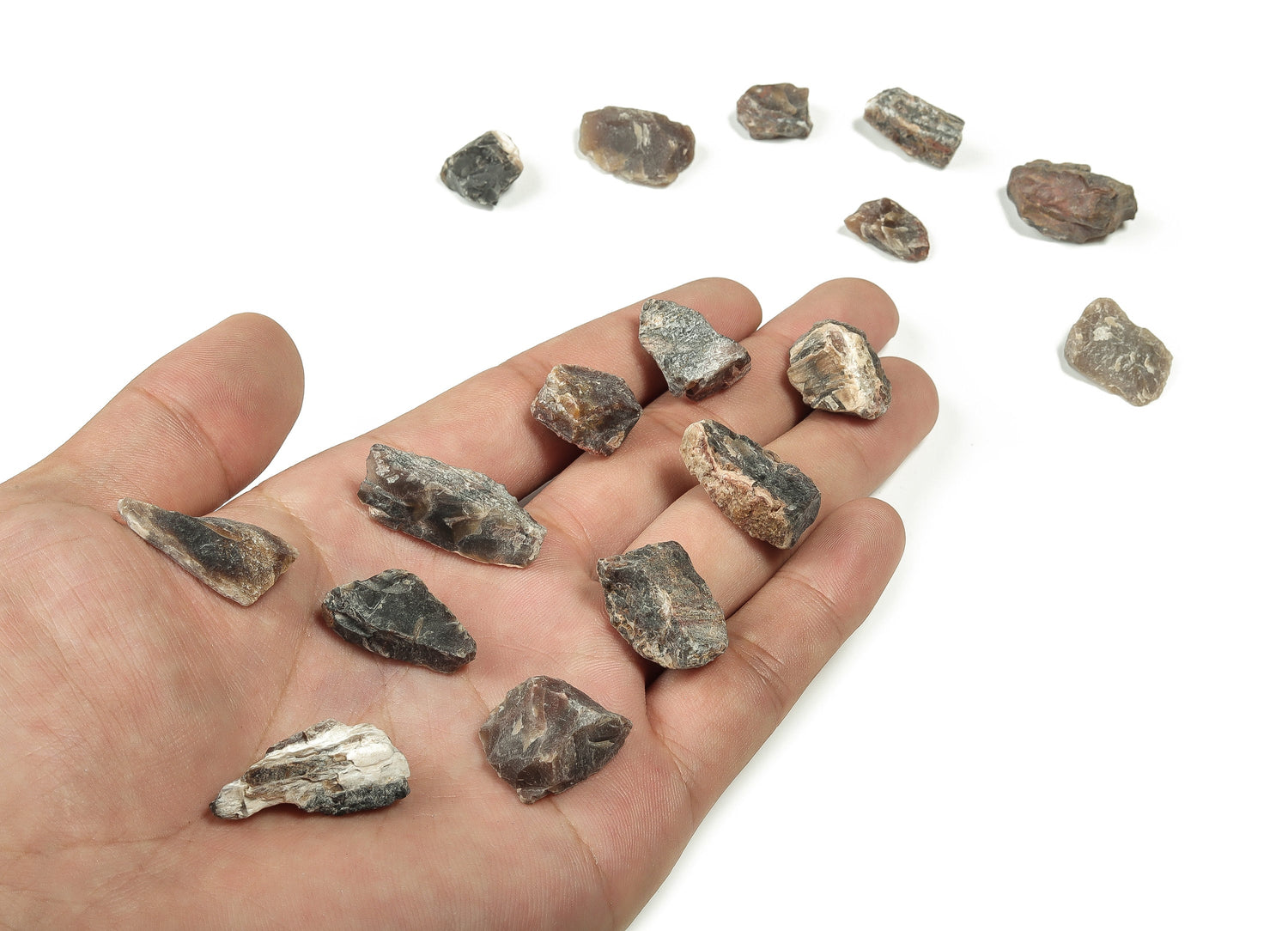Raw petrified wood gemstone from GemstoneGO showing a polished, natural wood appearance with intricate grain patterns and earthy tones.