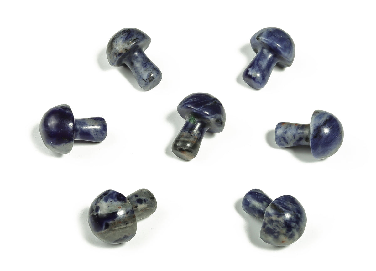 Sodalite mushroom carved gemstone, 20mm, showcasing blue and white natural stone with carved cap and stem details.