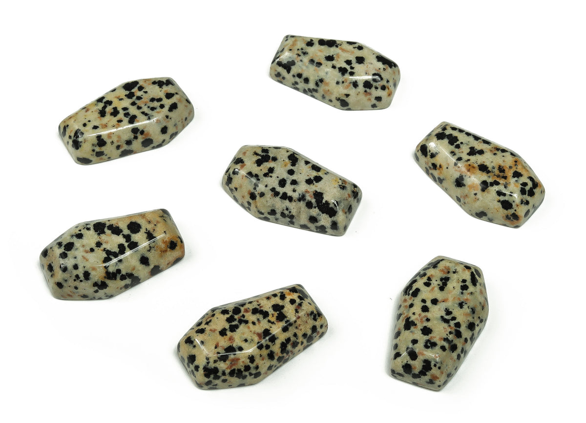 Dalmatian Jasper coffin-shaped crystal carving, 30mm cabochon from GemstoneGO, showcasing black spots on creamy stone.