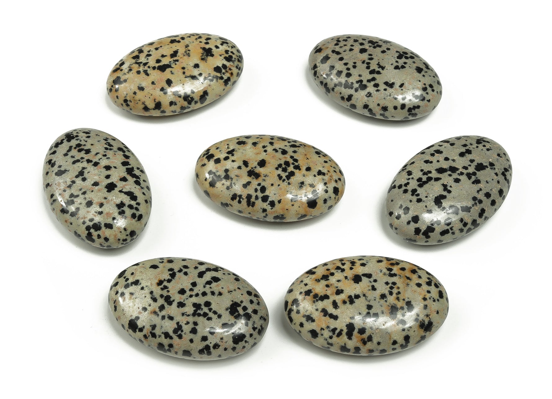 Dalmatian Jasper palm gemstone spa stone, 45x35mm, smooth natural healing stone from GemstoneGO.