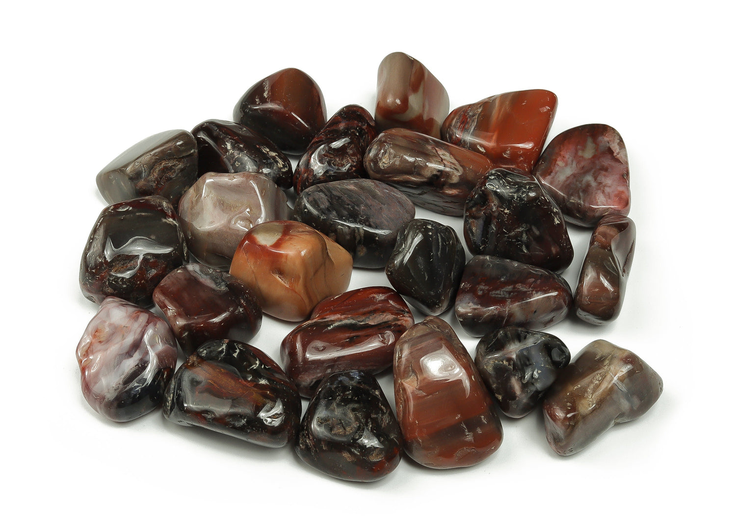 Petrified Wood Tumbled Stone - TU1124