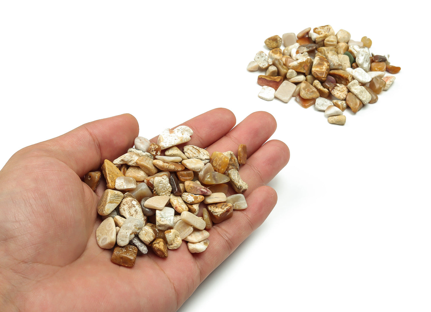 Fossil Coral Jasper Crystal Chips - Semi Tumbled Stone - Bulk - 7-12mm - CP1052