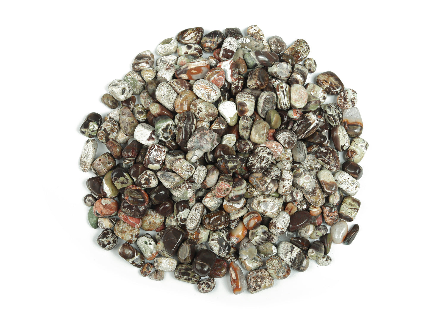 Semi-tumbled Rhyolite crystal chips in rainforest colors, 7-12mm, from GemstoneGO, shown in a close-up image.