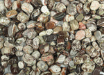 Semi-tumbled Rhyolite crystal chips in rainforest green, 7-12mm, from GemstoneGO, displayed in a natural, bulk collection.