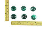 Polished 16mm Malachite crystal donut pendant with vibrant green and dark banding, from GemstoneGO.