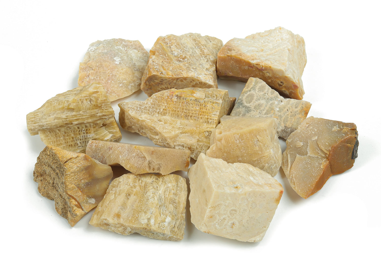 Raw Fossil Coral Gemstone - RA1068