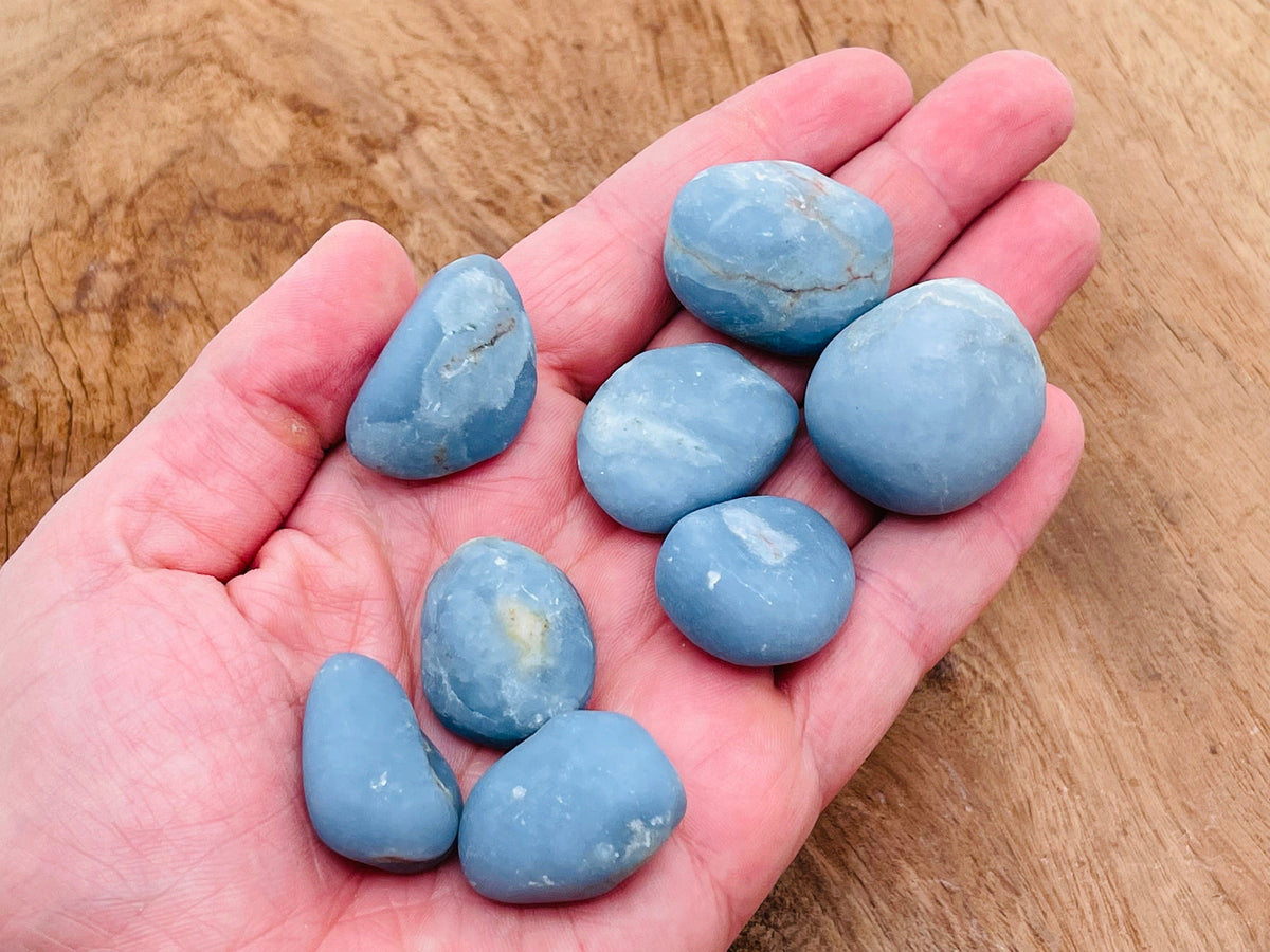 Angelite tumbled stone from GemstoneGO showing smooth, pale blue gemstone with a polished surface and natural mineral texture.
