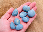 Angelite tumbled stone from GemstoneGO showing smooth, pale blue gemstone with a polished surface and natural mineral texture.