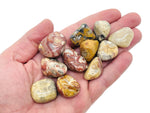 Tumbled Crazy Lace Agate stone from Mexico, showcasing vibrant banded patterns and natural gemstone texture.