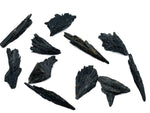 Raw black Kyanite fan gemstone from GemstoneGO showing a natural, matte black mineral with fan-shaped crystalline structure.
