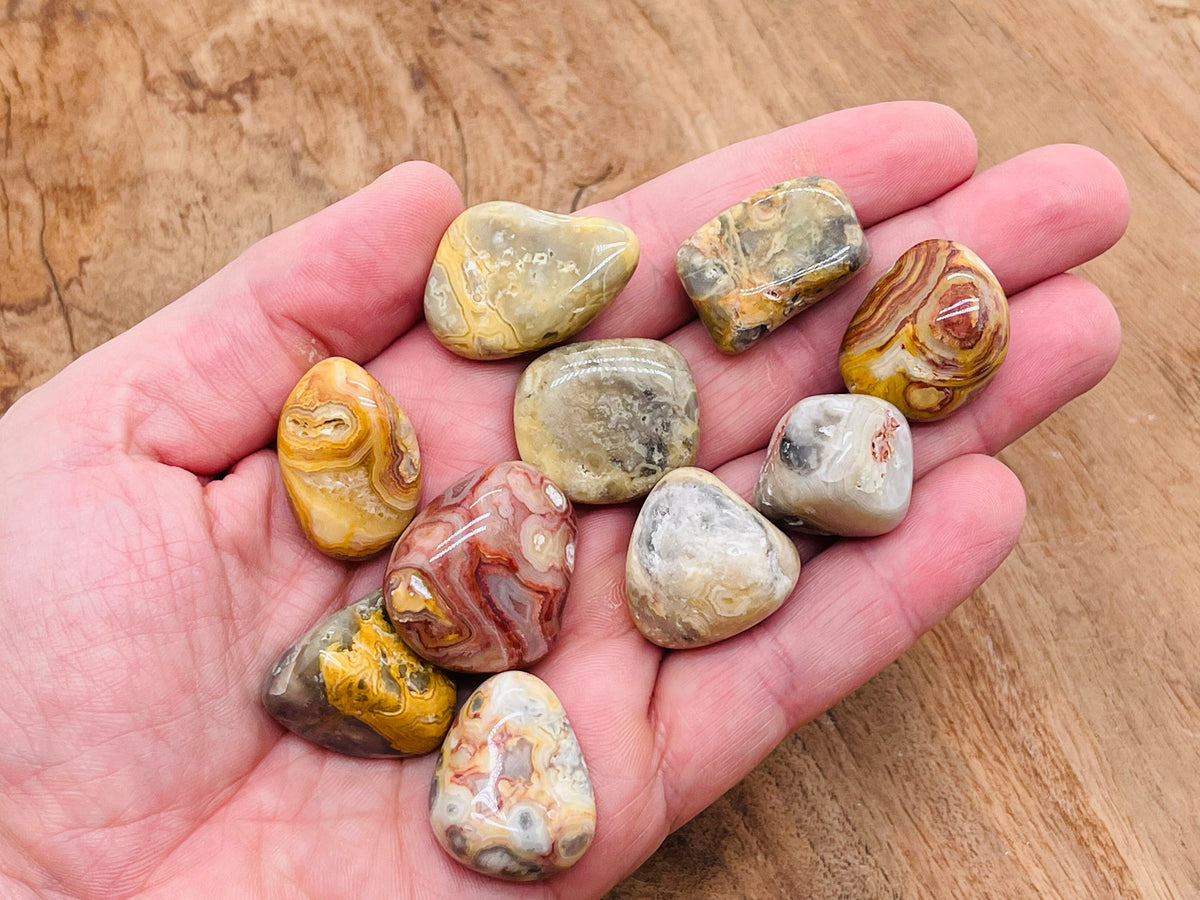 Crazy Lace Agate tumbled stone from GemstoneGO, showcasing vibrant, intricate Mexican agate with colorful banding and unique patterns.