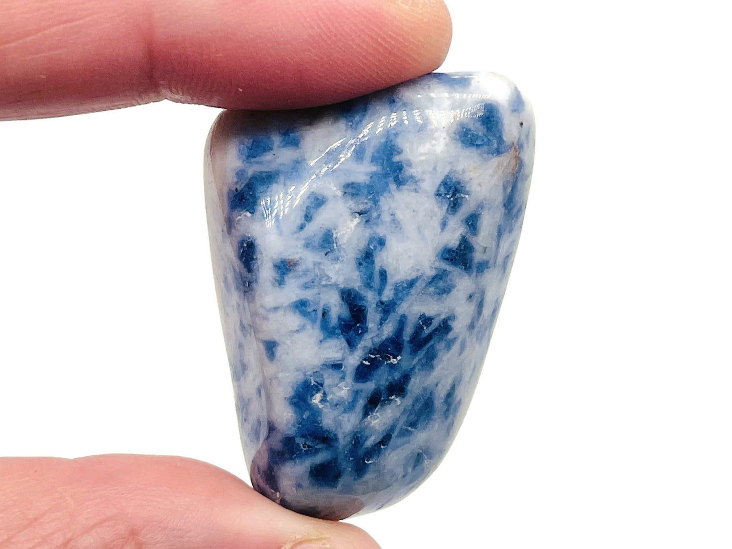 Blue Spot Jasper Tumbled Stone - TU1090