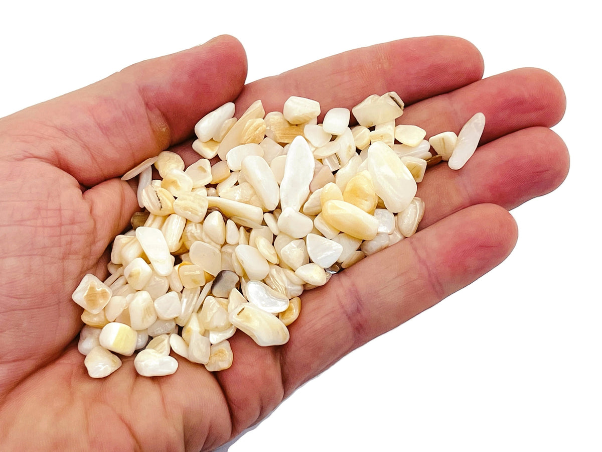 Chip Chip Shell White Shell Crystal Chips - Semi Tumbled Stone - Bulk - 5-8mm - CP1121 ...