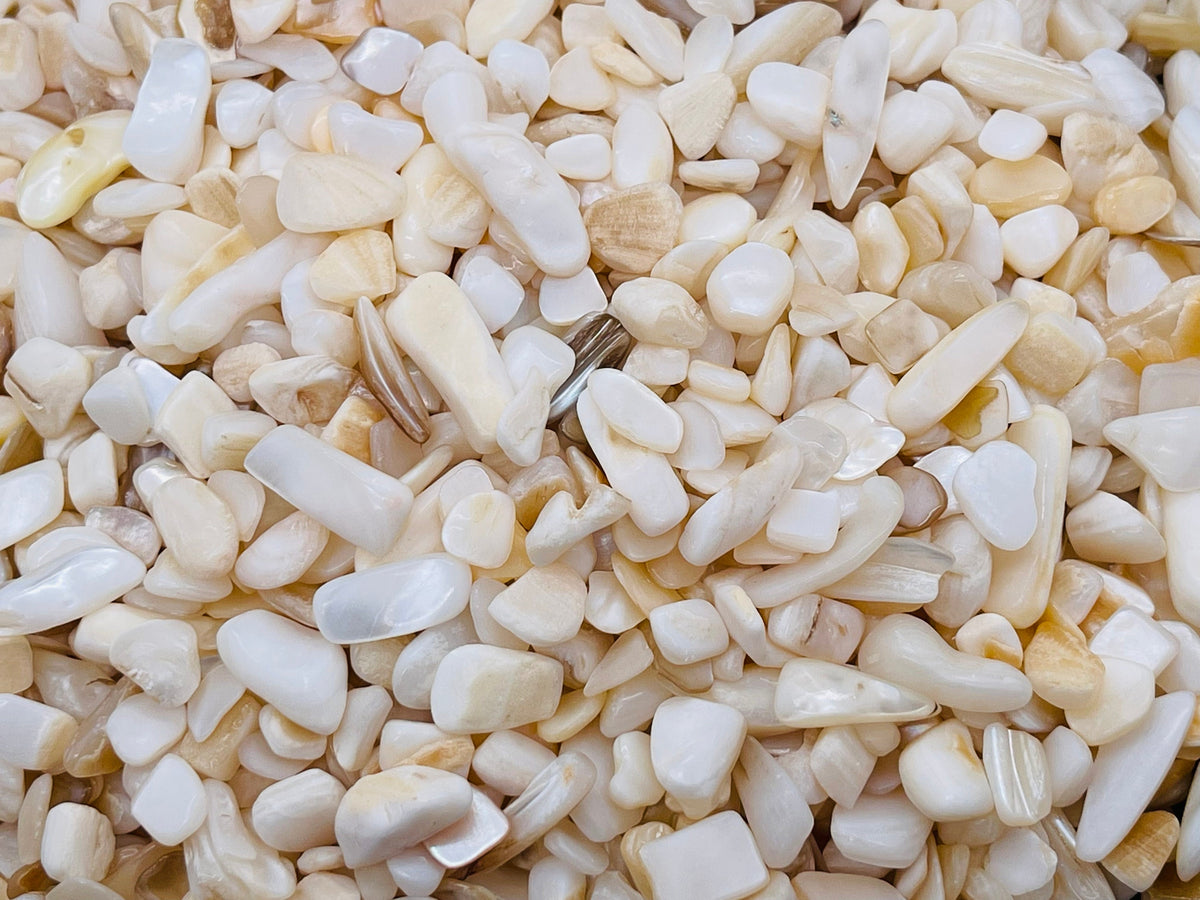 Chip Chip Shell White Shell Crystal Chips - Semi Tumbled Stone - Bulk - 5-8mm - CP1121 ...