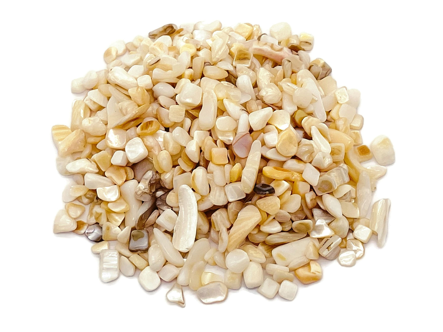 Éclats de coquillage blanc ?€? Éclats de pierres précieuses ?€? Éclats de cristal semi-polis - Cristal en vrac - 5-8 mm - CP1121