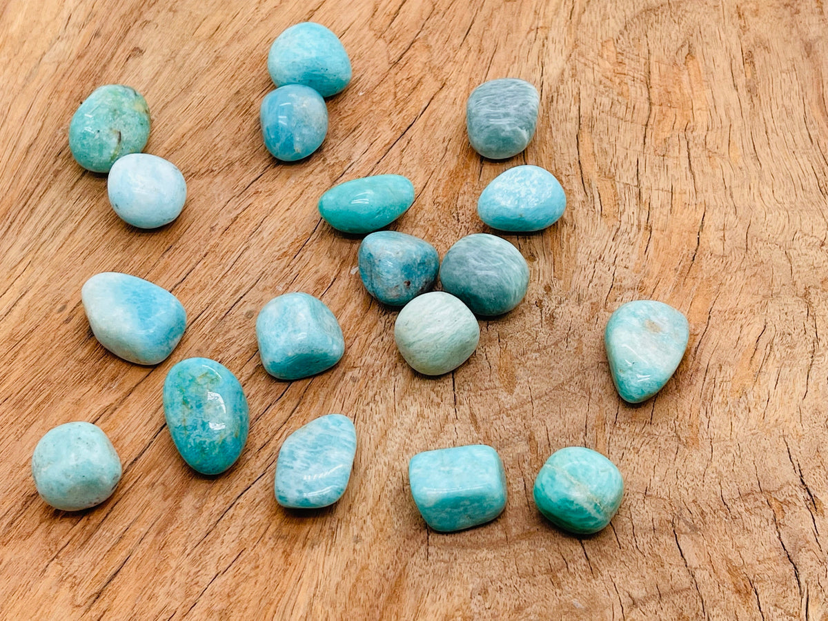 Polished Amazonite tumbled stone from GemstoneGO, showcasing smooth, vibrant blue-green mineral with natural variations and glossy finish.
