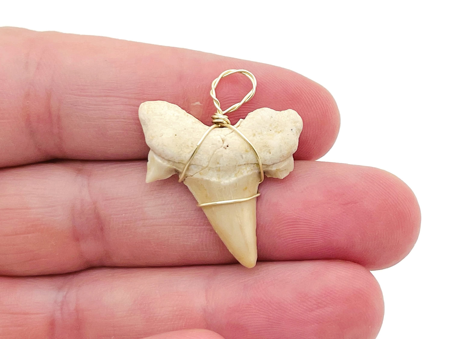 Natural shark tooth pendant with brass wire wrap, showcasing a fossilized shark tooth on a rustic jewelry piece.