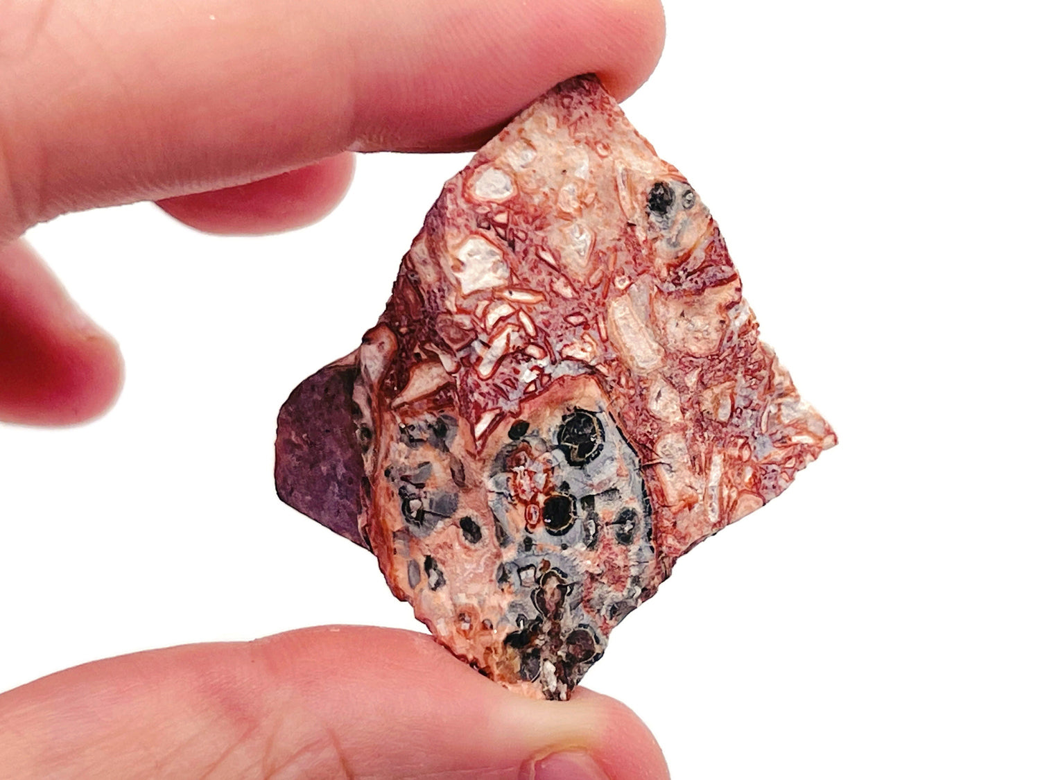 Raw Leopard Skin Jasper Gemstone - RA1086