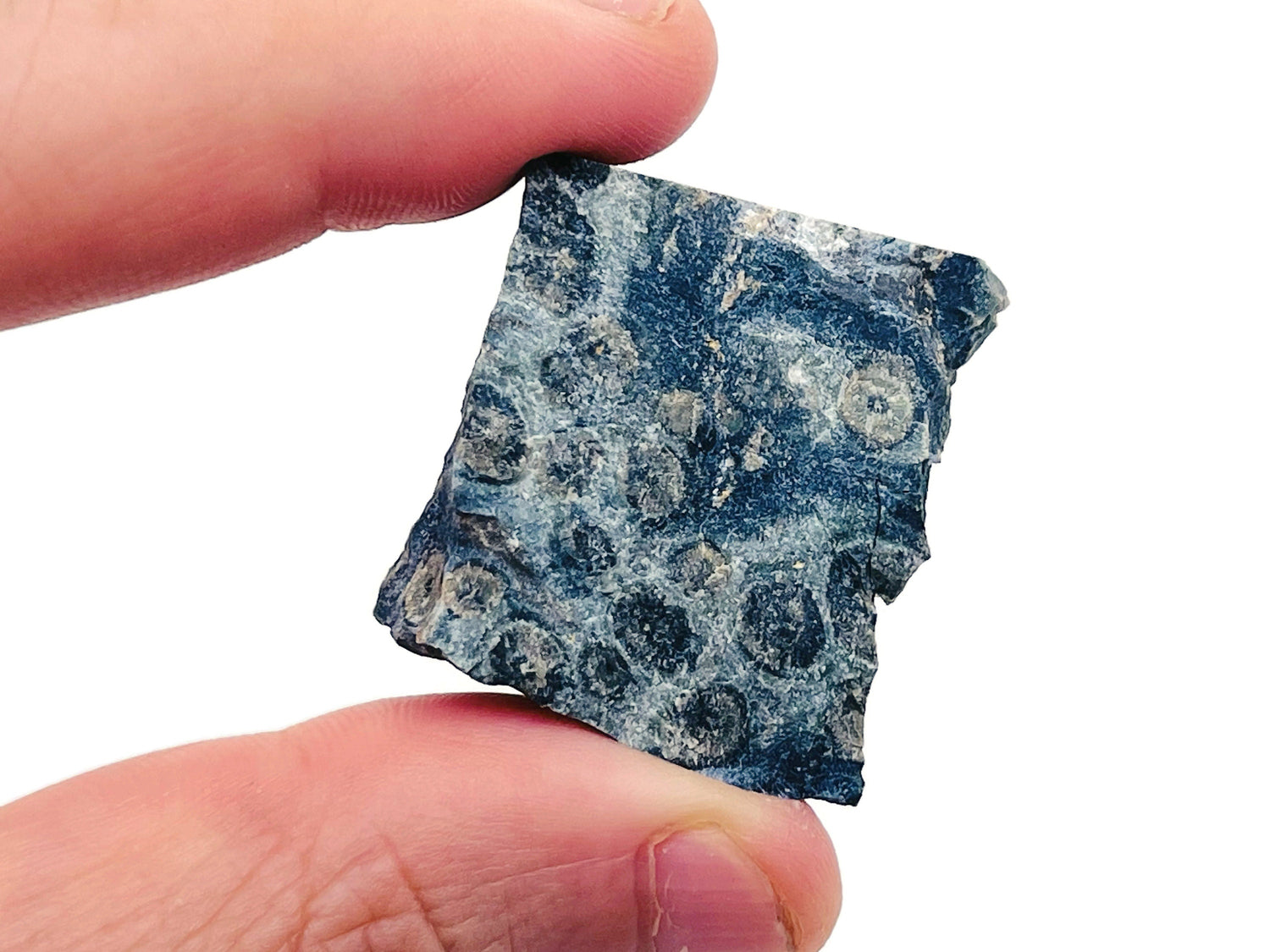 Raw Kambaba Jasper Gemstone - RA1087