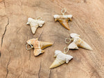 Natural shark tooth pendant wrapped in brass wire, featuring a fossil shark tooth on a cord necklace.