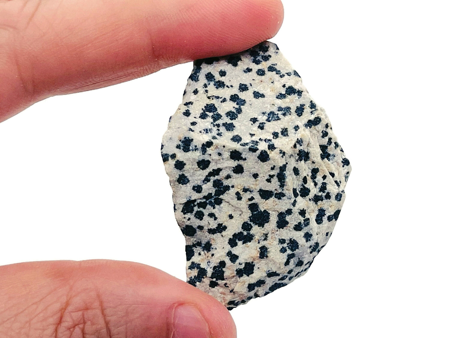 Jaspe dalmatien brut ?€? Pierre de jaspe dalmatien naturel ?€? Pierre précieuse de jaspe dalmatien brut ?€? Cristal de guérison en jaspe dalmatien ?€? RA1035