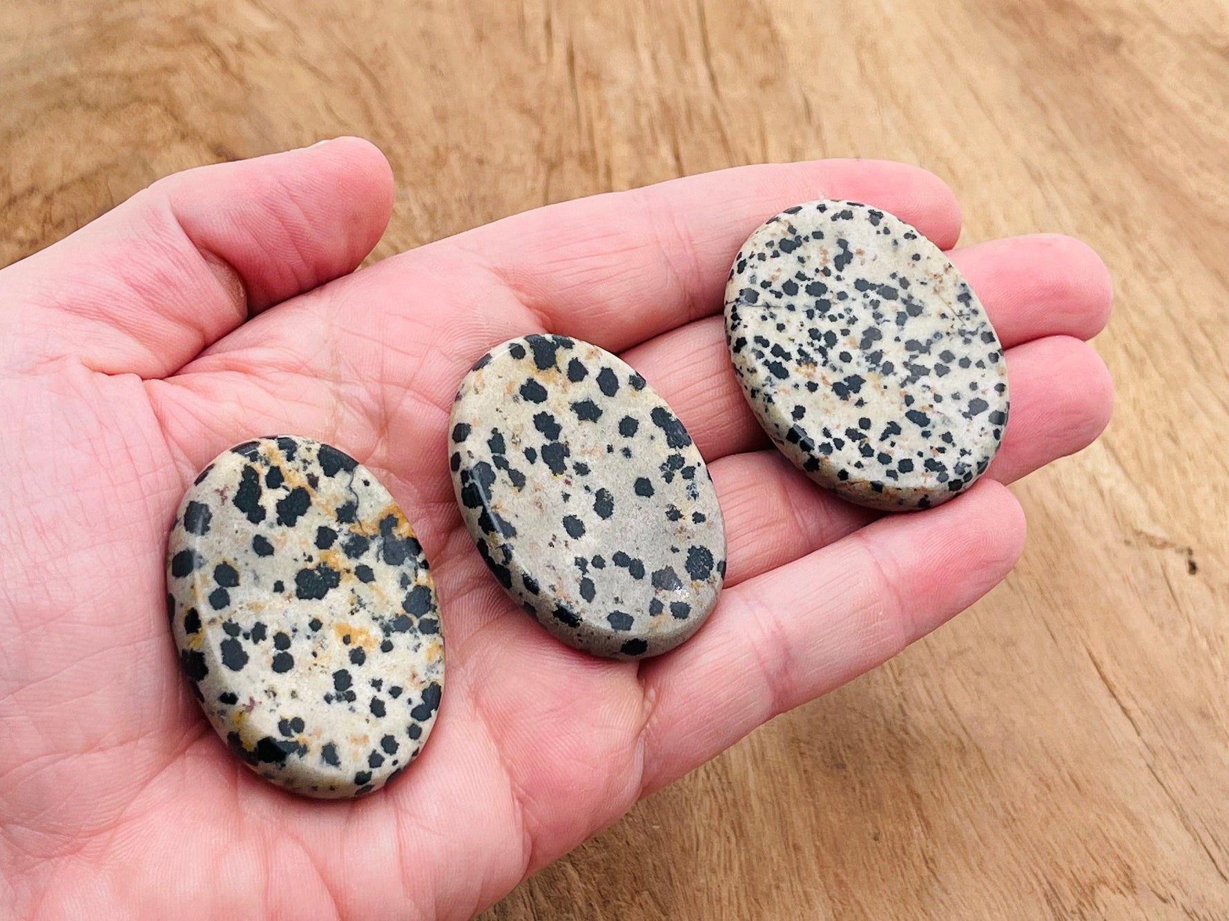 Dalmatian Jasper worry stone with soothing crystal energy, measuring 4.5x3.5cm, from GemstoneGO with black and white spotted pattern.