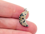 Dalmatian Jasper moon crystal pendant from GemstoneGO, featuring a polished stone with black spots on a silver setting.
