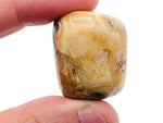 Smooth Crazy Lace Agate tumbled stone from GemstoneGO, showcasing vibrant banded patterns and rich earthy tones.