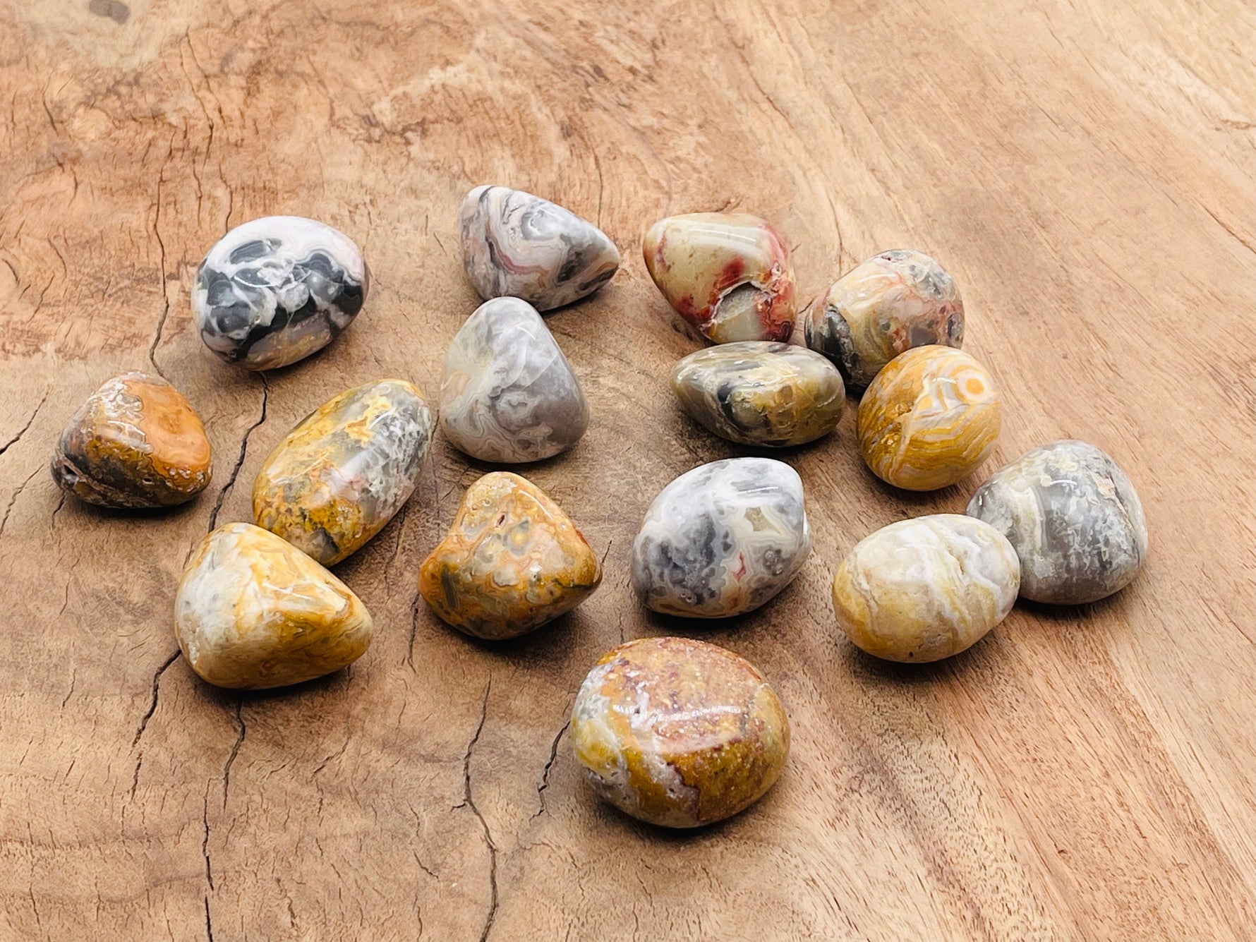 Crazy Lace Agate tumbled stone from GemstoneGO, showcasing vibrant, intricate Mexican agate with swirling patterns and rich colors.