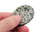 Dalmatian Jasper worry stone from GemstoneGO, 4.5x3.5cm soothing crystal with black spots on cream background.
