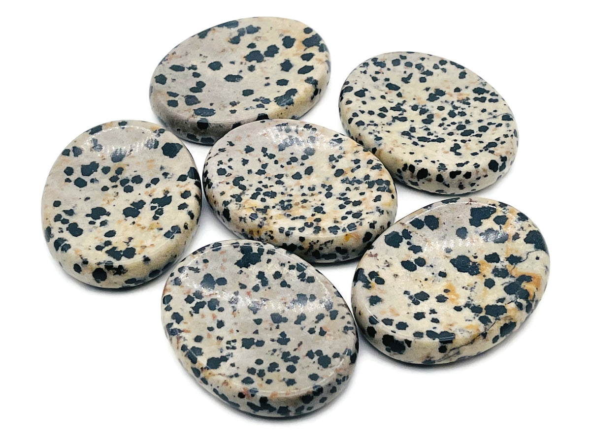 Dalmatian Jasper worry stone from GemstoneGO, 4.5x3.5cm, featuring black and cream spotted pattern, soothing crystal for stress relief.
