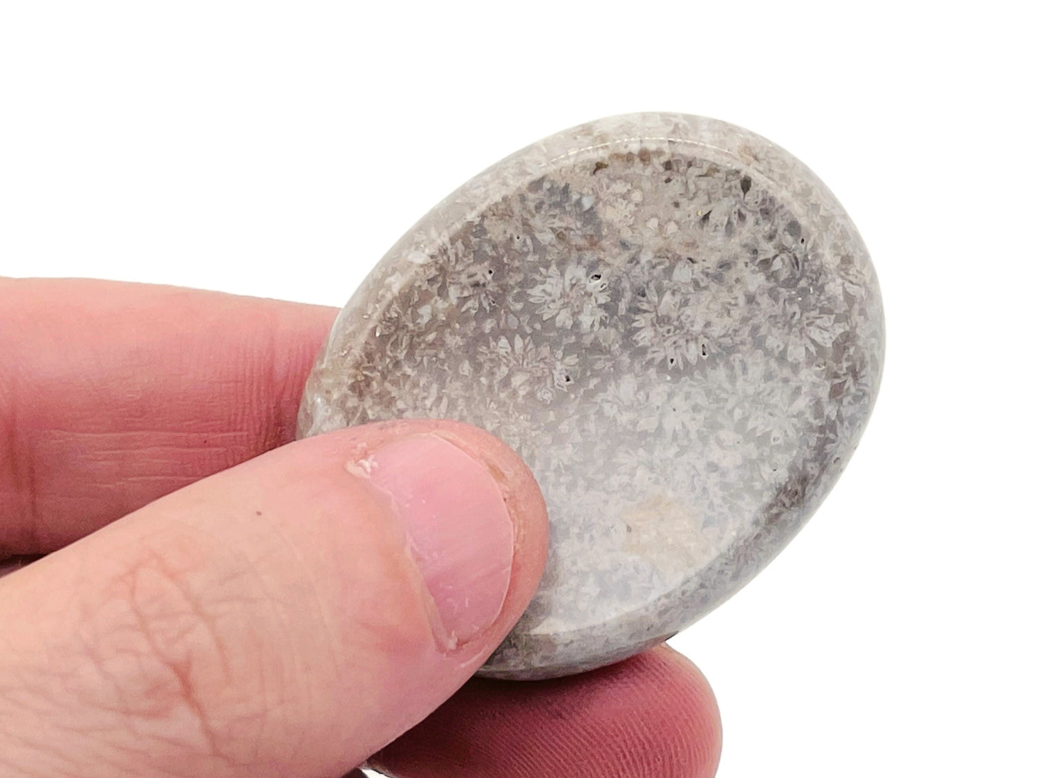 Fossil coral worry stone from GemstoneGO, 4.5x3.5cm, soothing crystal with fossilized coral pattern for stress relief.