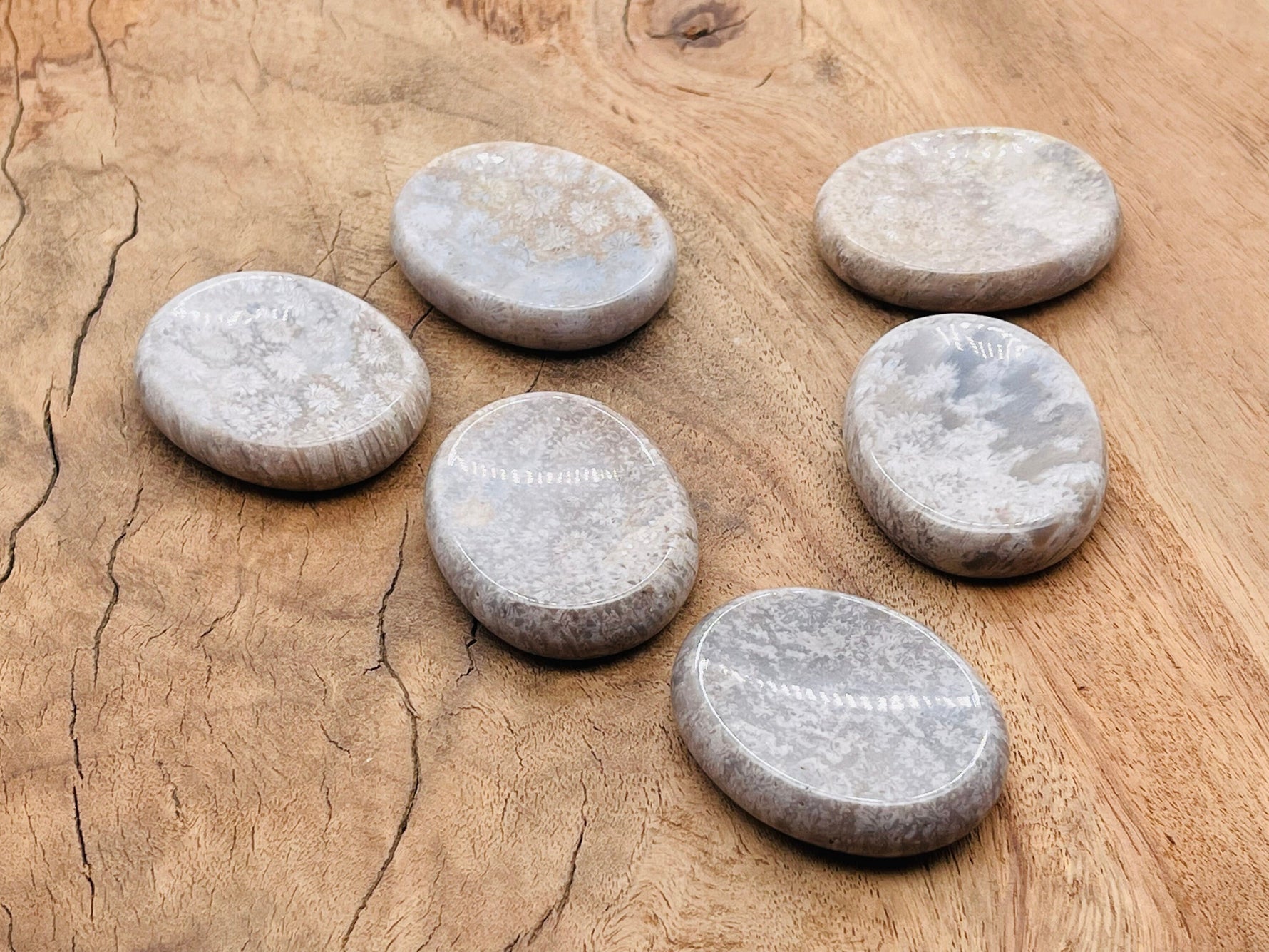Fossil coral worry stone from GemstoneGO, 4.5x3.5cm soothing crystal with fossilized coral pattern, smooth and polished surface.
