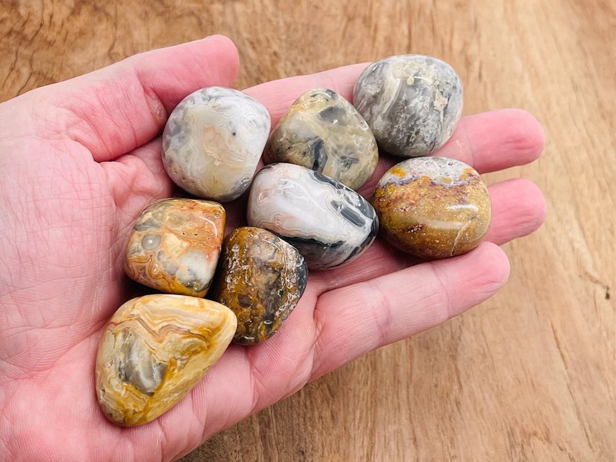 Tumbled Crazy Lace Agate stone from Mexico showing vibrant banded patterns, smooth polished surface, and natural gemstone texture.