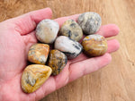 Tumbled Crazy Lace Agate stone from Mexico showing vibrant banded patterns, smooth polished surface, and natural gemstone texture.