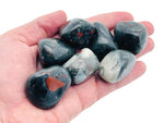 African Bloodstone tumbled gemstone from GemstoneGO, showing a polished, deep green stone with red blood-red inclusions.