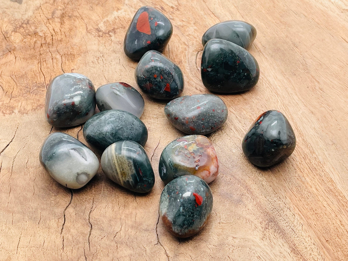 African Bloodstone tumbled gemstone from GemstoneGO, showing deep green stone with red blood-like veining and smooth polished surface.