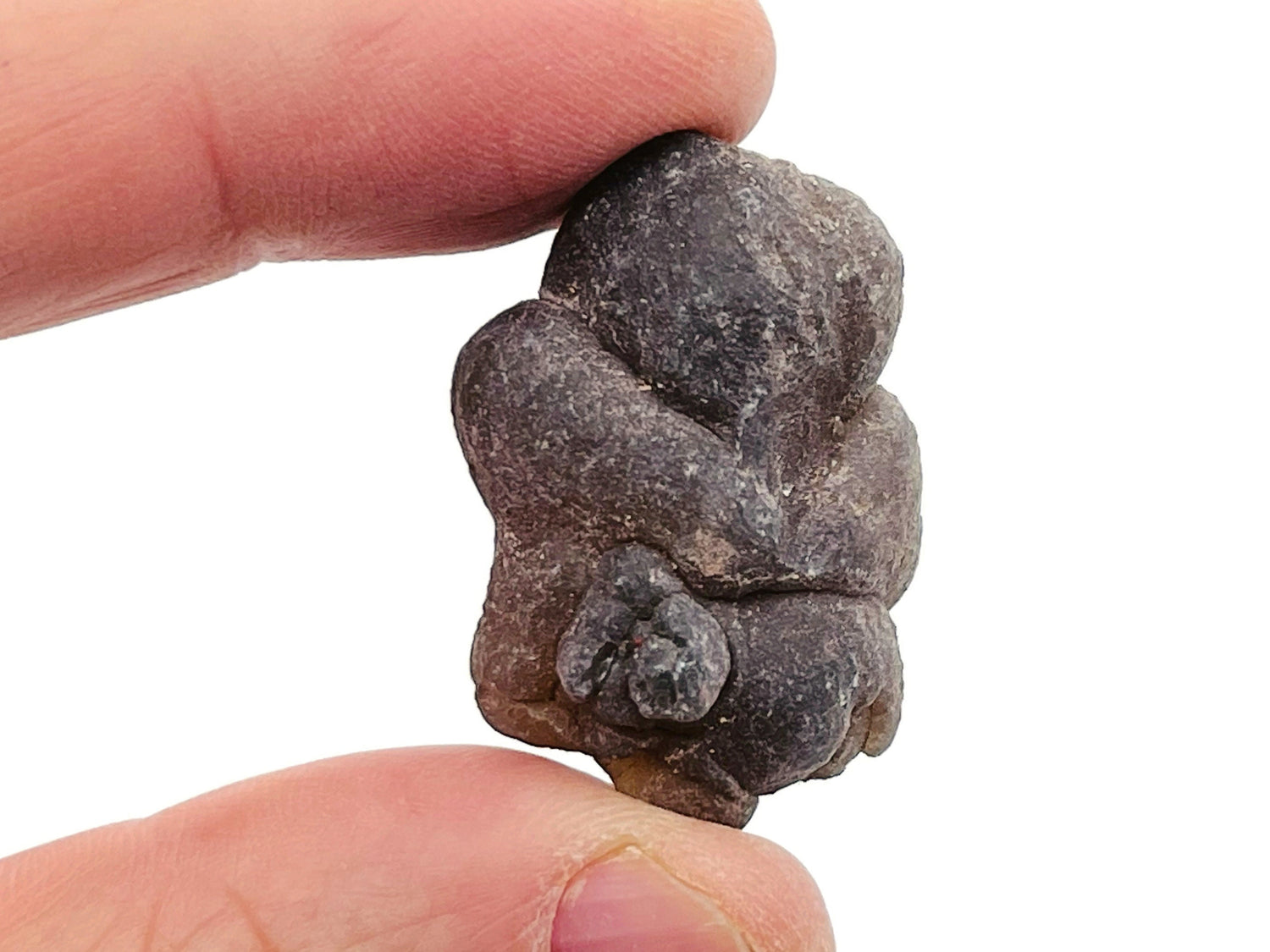 Truffle Chalcedony - Chalcedony Nodule - Panda Agate - Raw Stone - RA1179