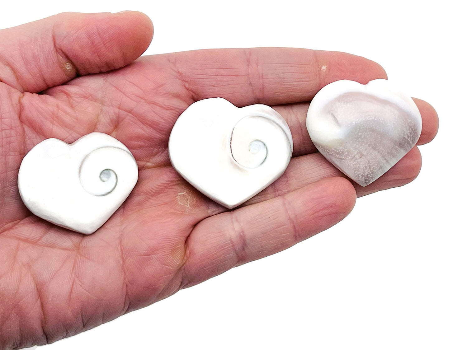 Shiva Shell Heart Gemstone - HE1271