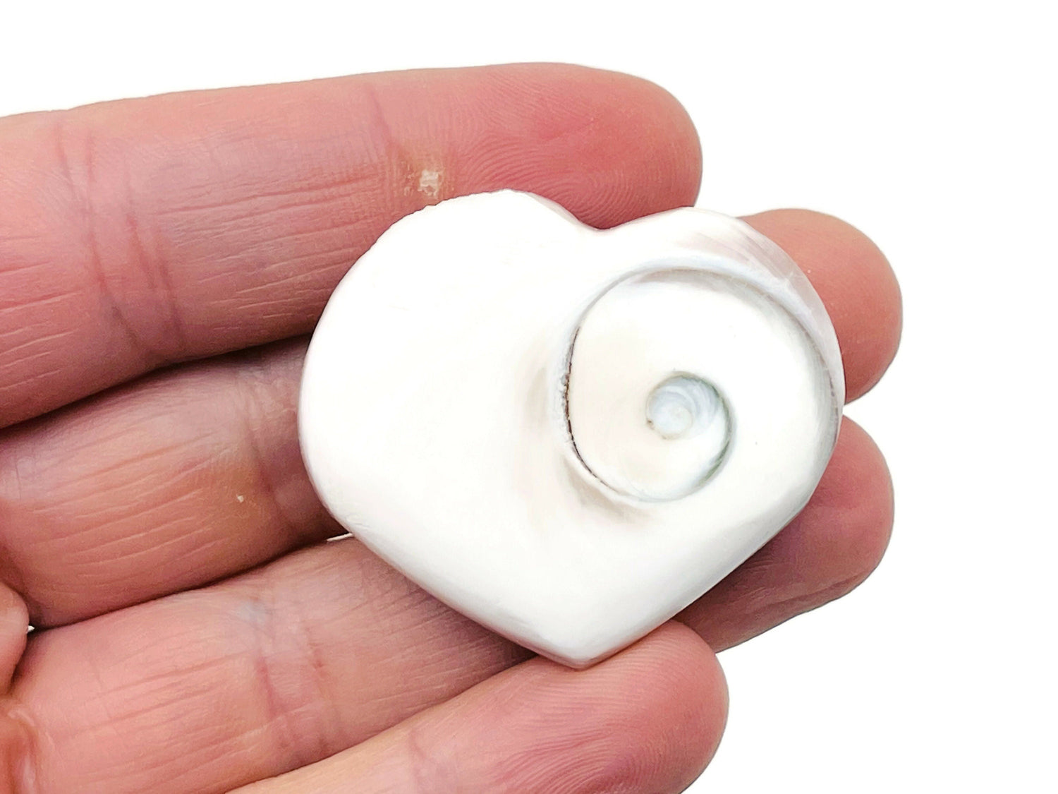 Shiva Shell Heart Gemstone - HE1271