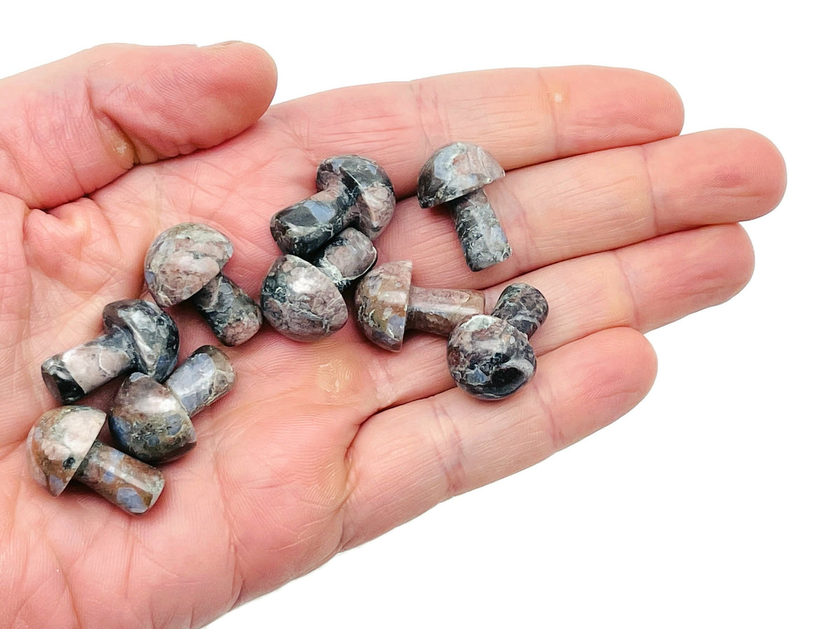 Blue Liberite Que Sera mushroom carved gemstone, 20mm, from GemstoneGO, showcasing detailed mushroom carving on vibrant blue stone.